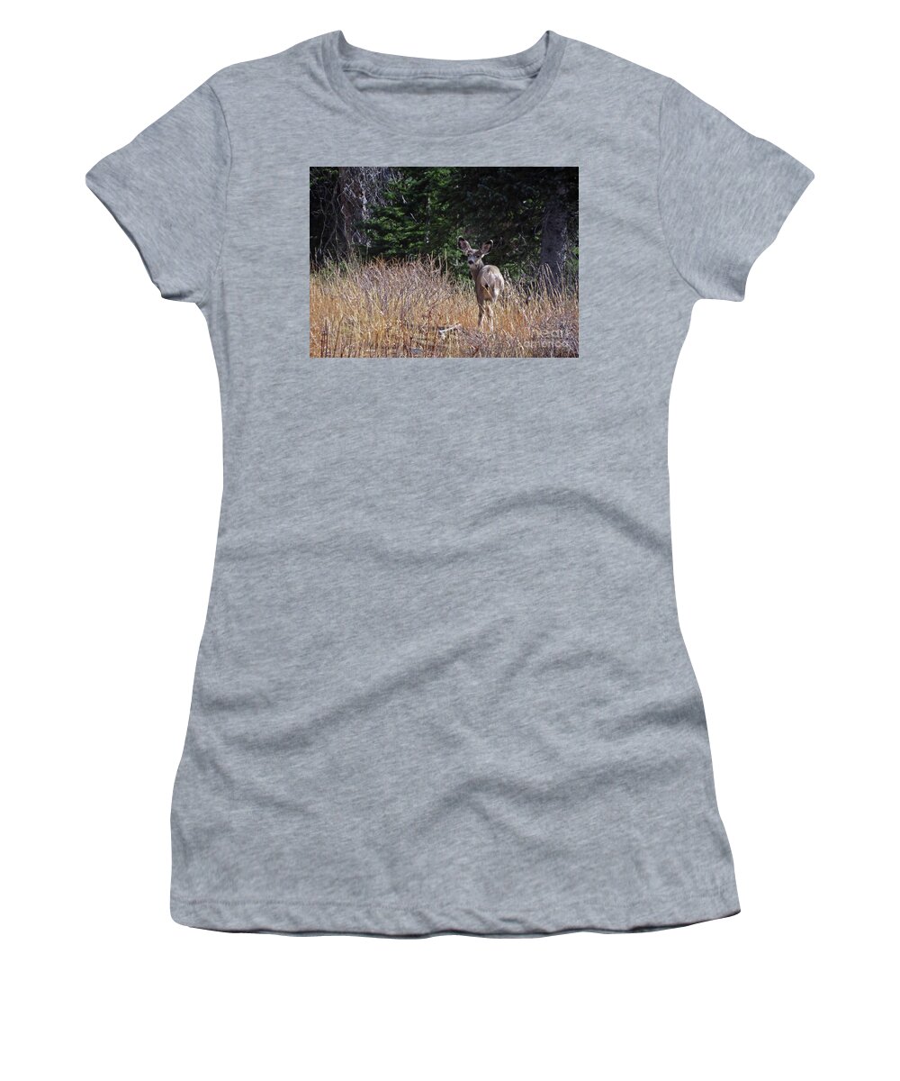 Mule Deer Women's T-Shirt featuring the photograph Mule Deer in Utah by Cindy Murphy - NightVisions