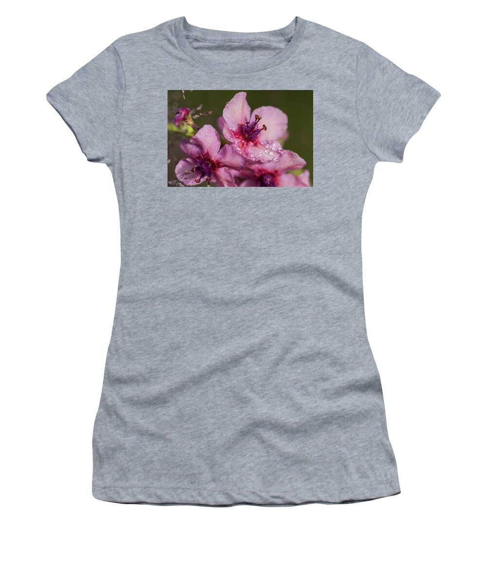 Astoria Women's T-Shirt featuring the photograph Mullein in the Mist by Robert Potts