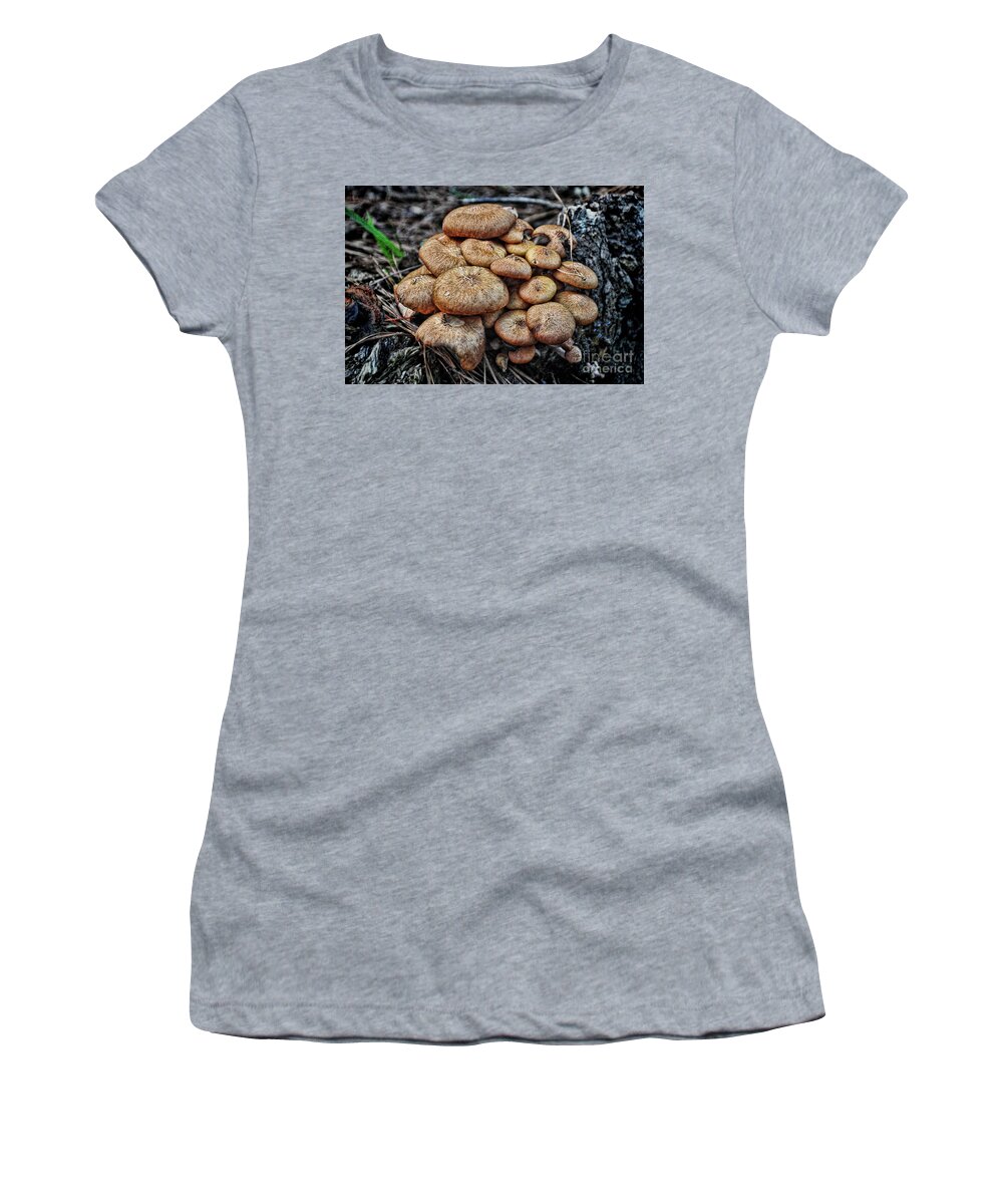 Mushroom Women's T-Shirt featuring the photograph Mushroom Nest by Randy Rogers