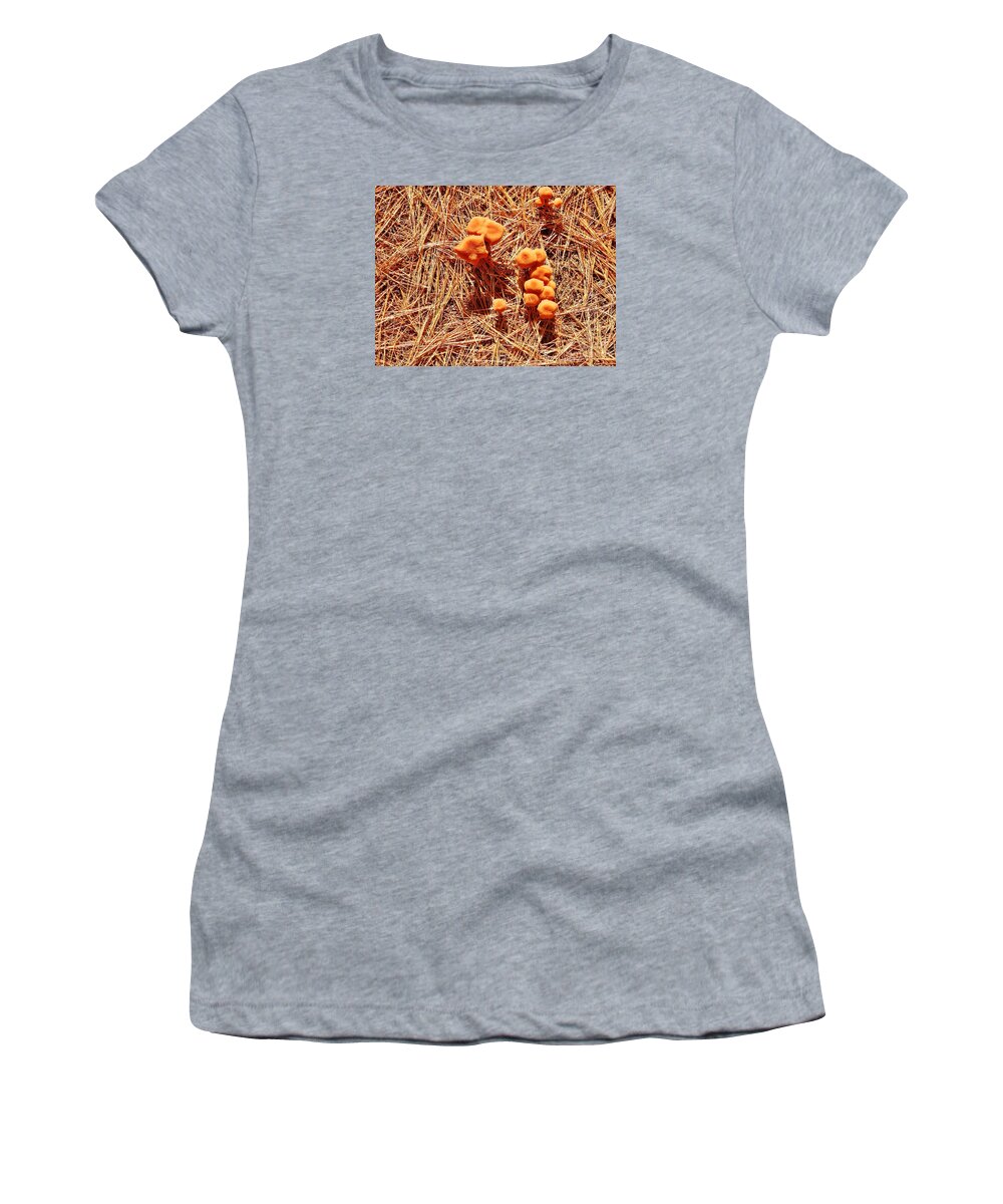 Mushrooms Women's T-Shirt featuring the painting Mushrooms in Straw by Reb Frost