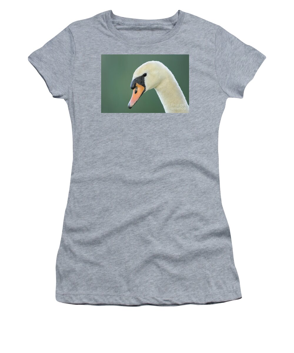 Mute Swan Women's T-Shirt featuring the photograph Mute Swan by David & Micha Sheldon