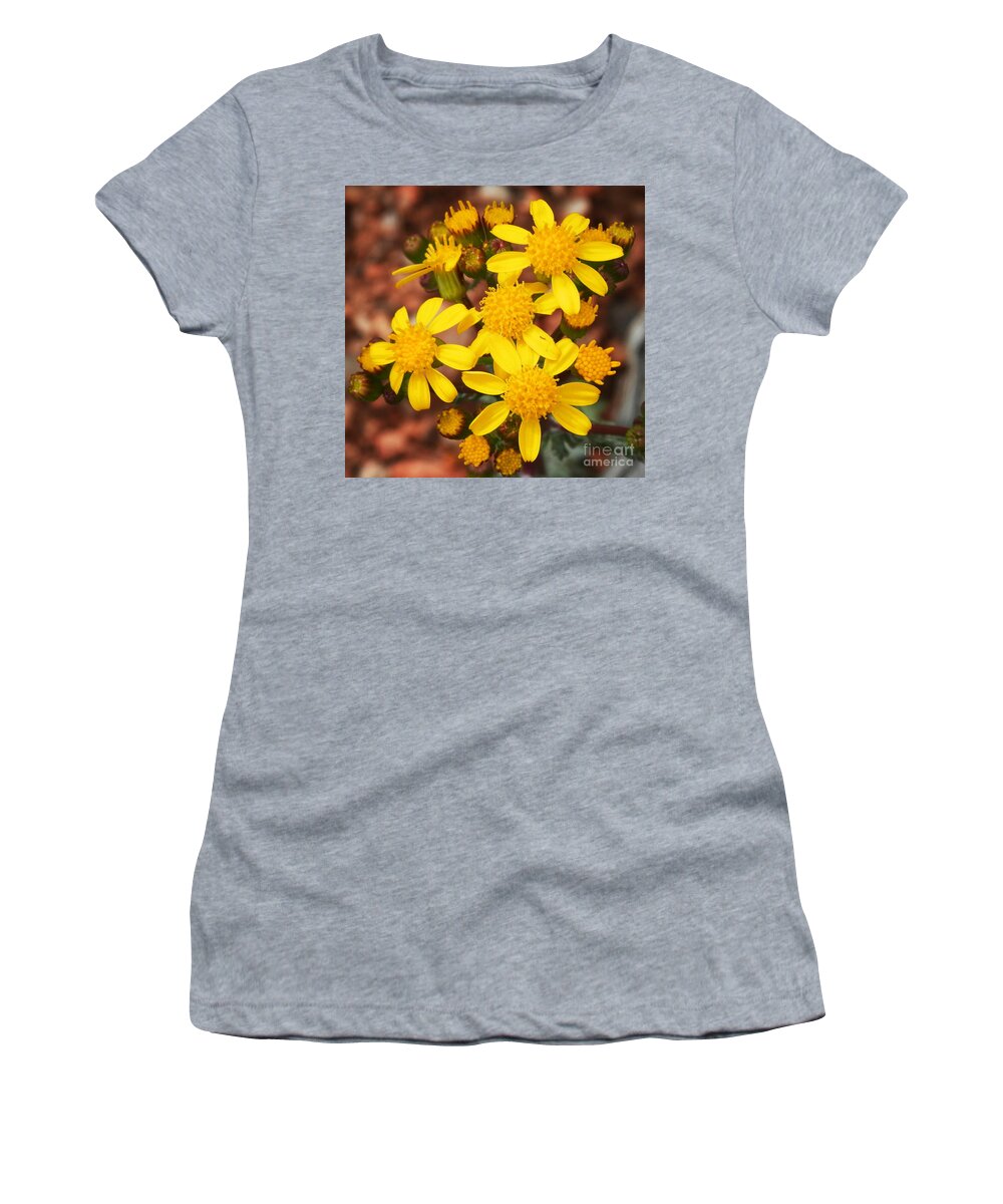 Yellow Blooms Women's T-Shirt featuring the photograph My happy place by Barbara Leigh Art