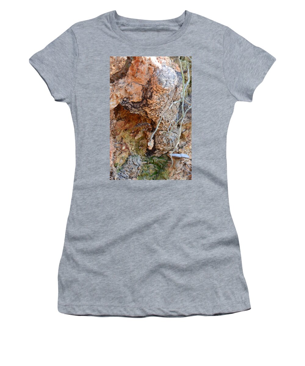 Natural Abstract 15-03 Women's T-Shirt featuring the photograph Natural Abstract 15-03 by Maria Urso