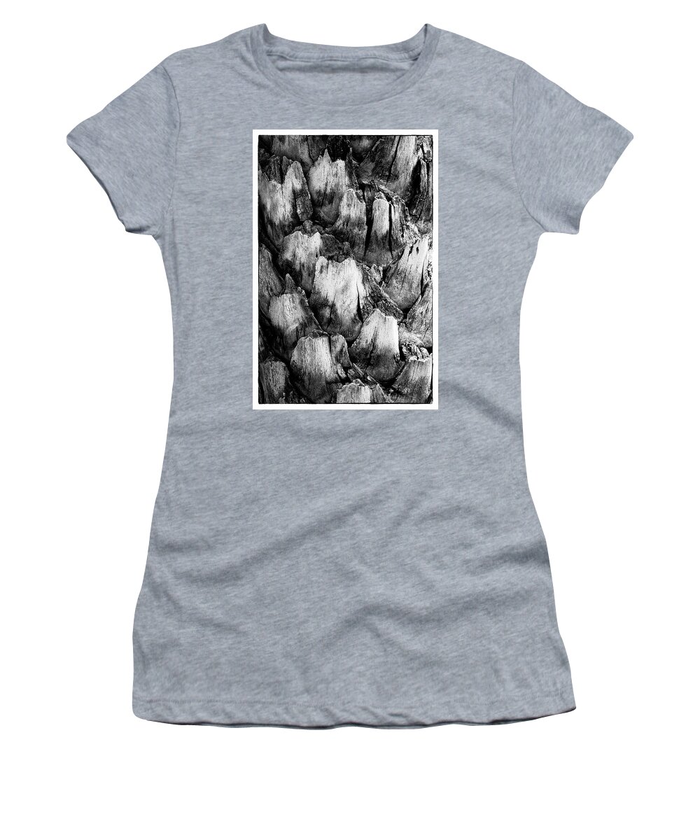 Black And White Women's T-Shirt featuring the photograph Natures Abstract #1 by John Roach