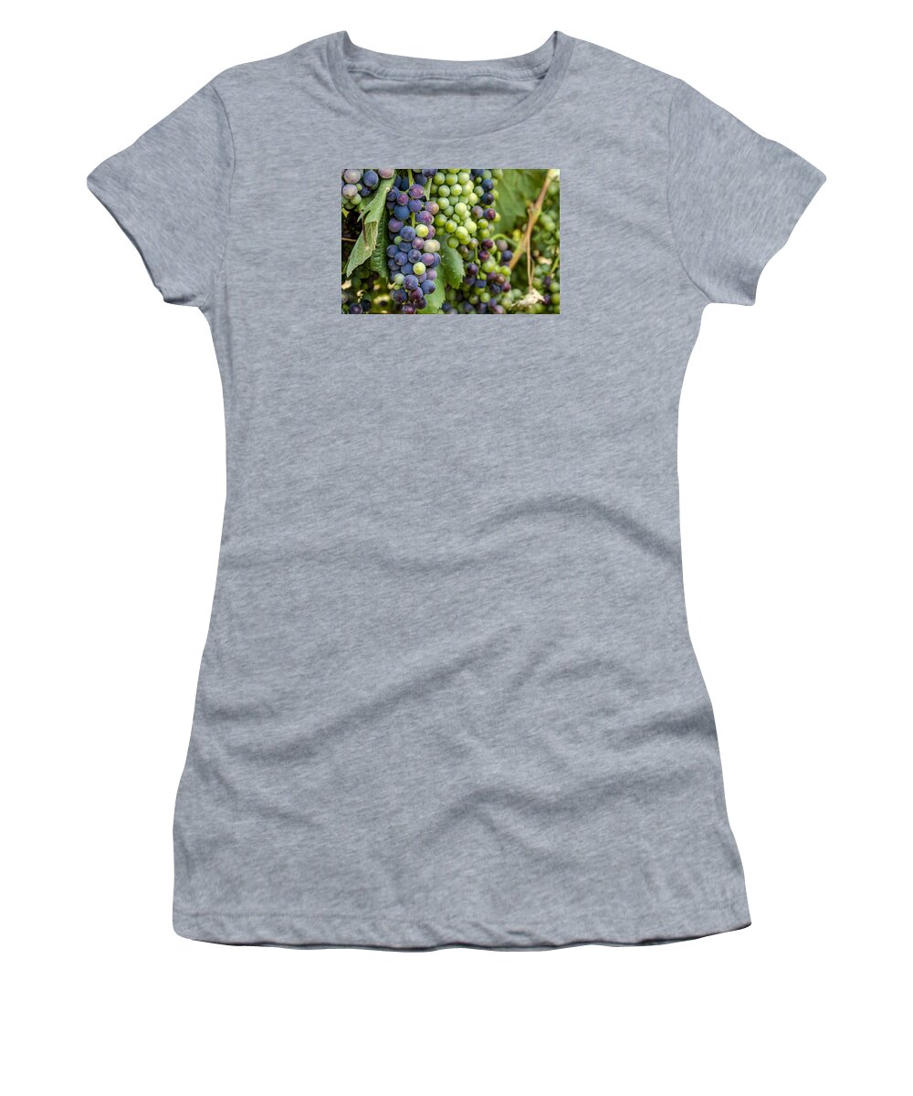 Colorado Vineyard Women's T-Shirt featuring the photograph Natures Colors in Wine Grapes by Teri Virbickis