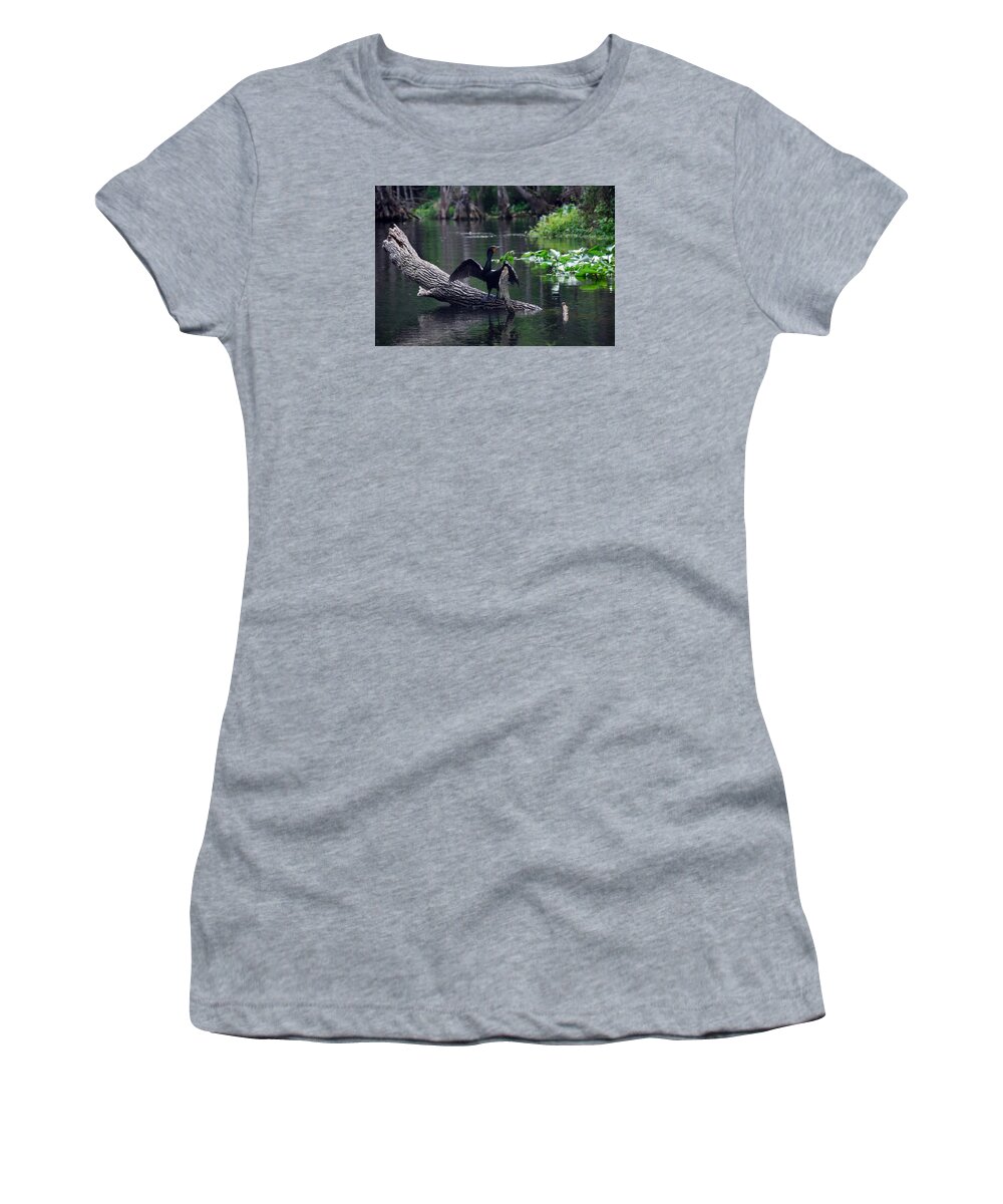Names Of Birds Women's T-Shirt featuring the photograph Nature's Dryer by Skip Willits