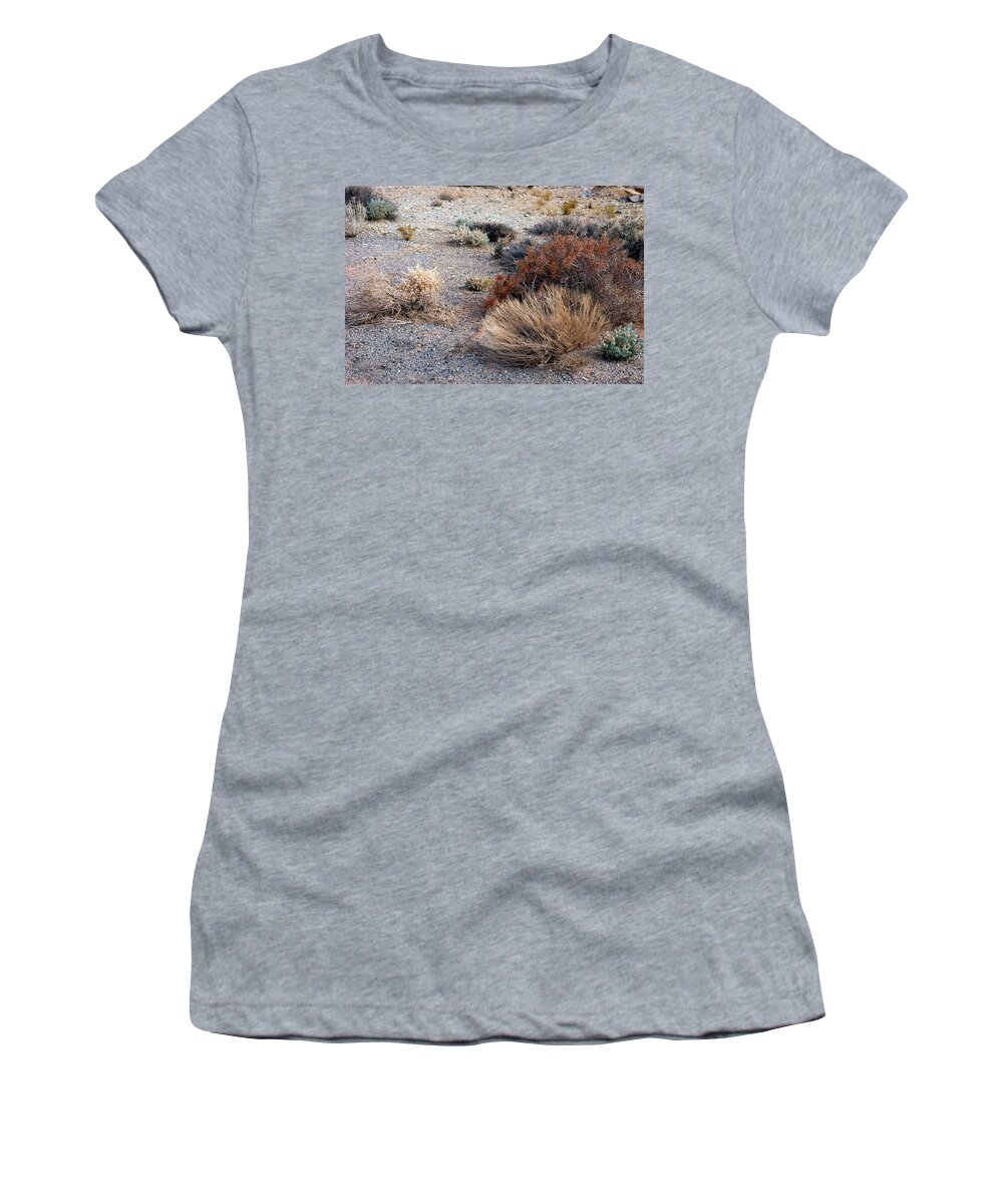 Sage Brush Women's T-Shirt featuring the photograph Natures Garden - Utah by DArcy Evans