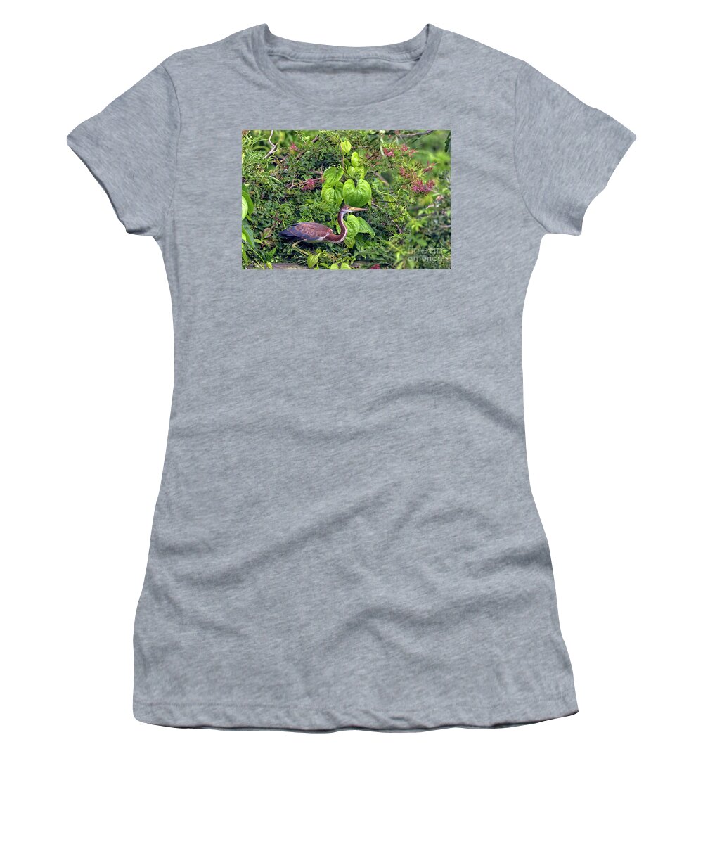 Herons Women's T-Shirt featuring the photograph Natures Wildlife Paradise by DB Hayes