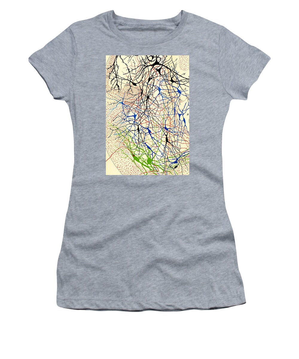 History Women's T-Shirt featuring the photograph Nerve Cells Santiago Ramon y Cajal by Science Source