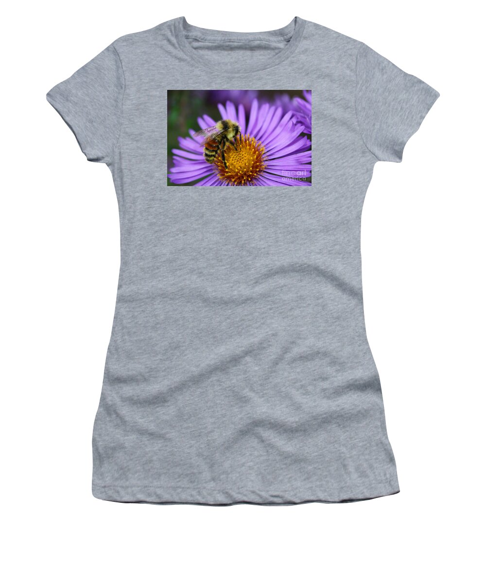 Bee Women's T-Shirt featuring the photograph New England Aster and Bee by Steve Augustin