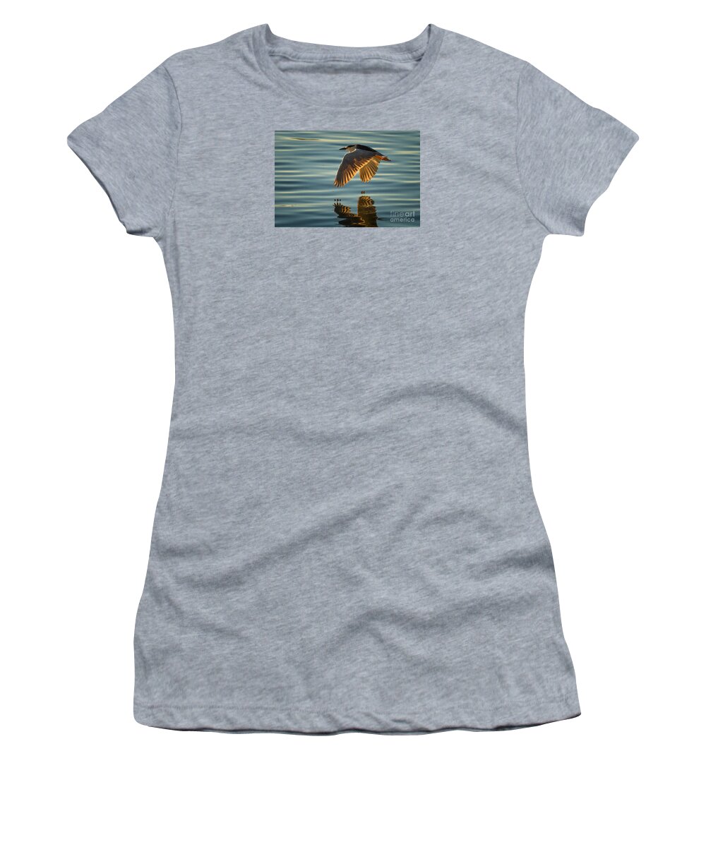 Animal Women's T-Shirt featuring the photograph Night Heron Flight by Alice Cahill