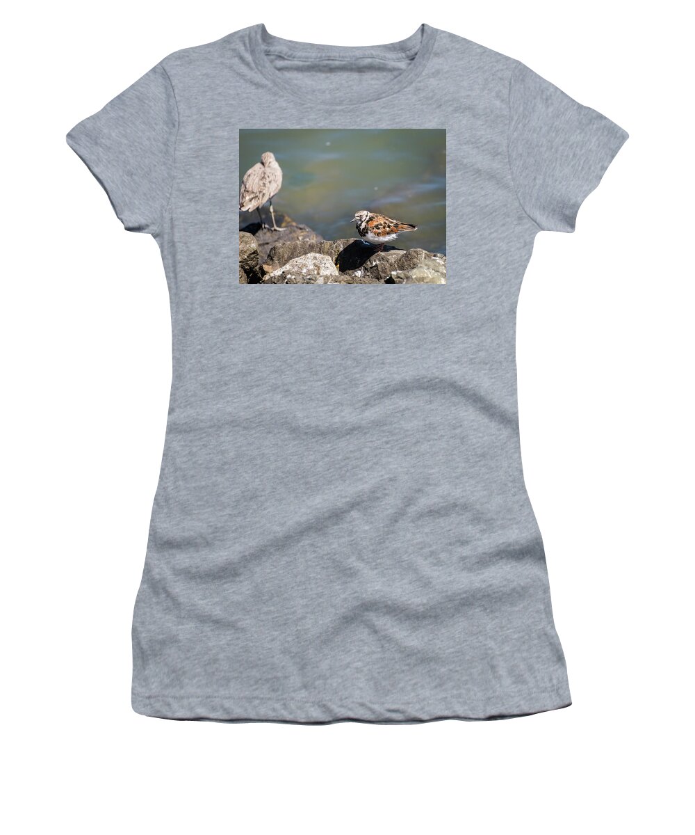 Turnstone Women's T-Shirt featuring the photograph No Stone Unturned by Alex Lapidus