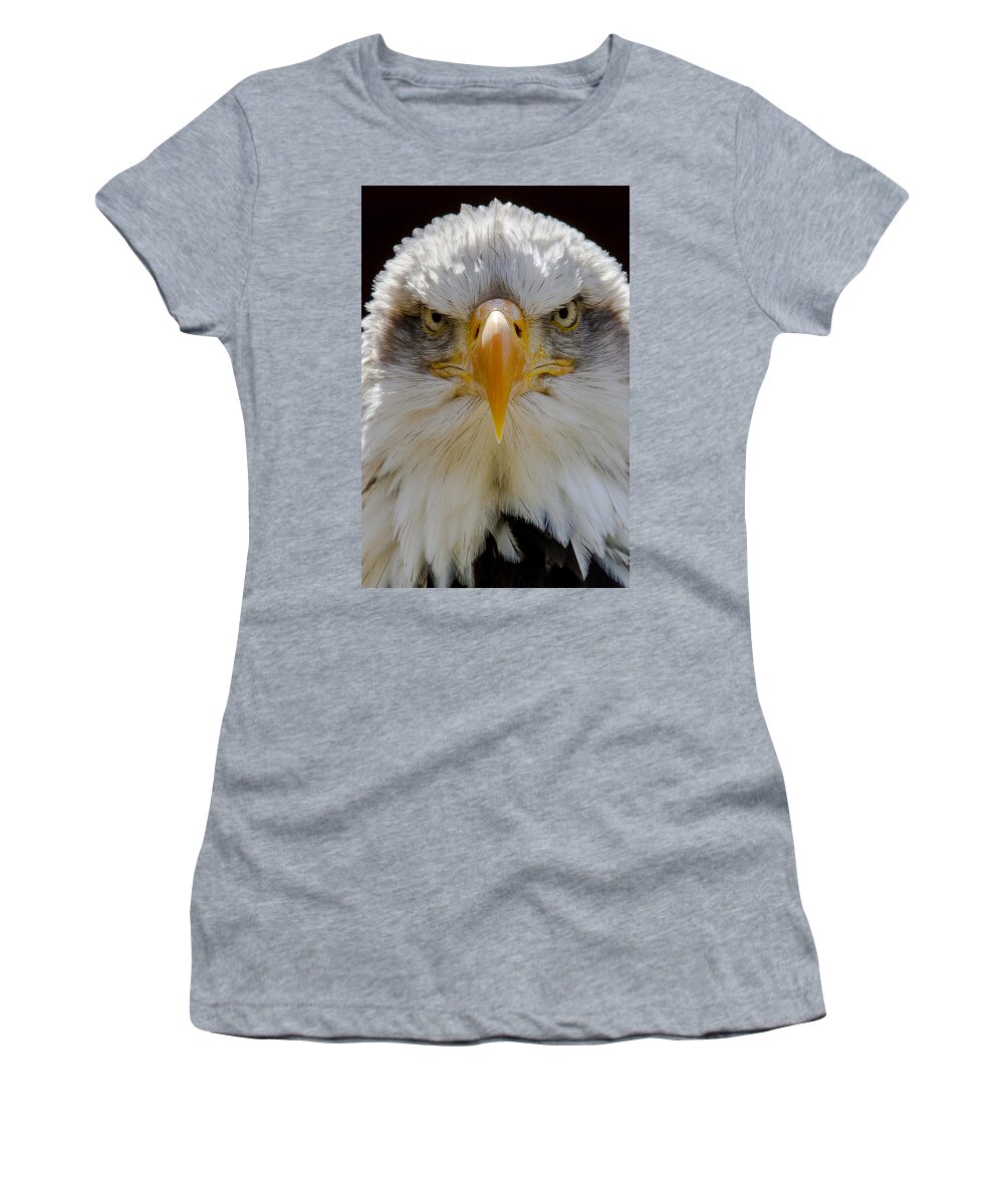 North American Bald Eagle Women's T-Shirt featuring the photograph North American bald eagle by Andy Myatt