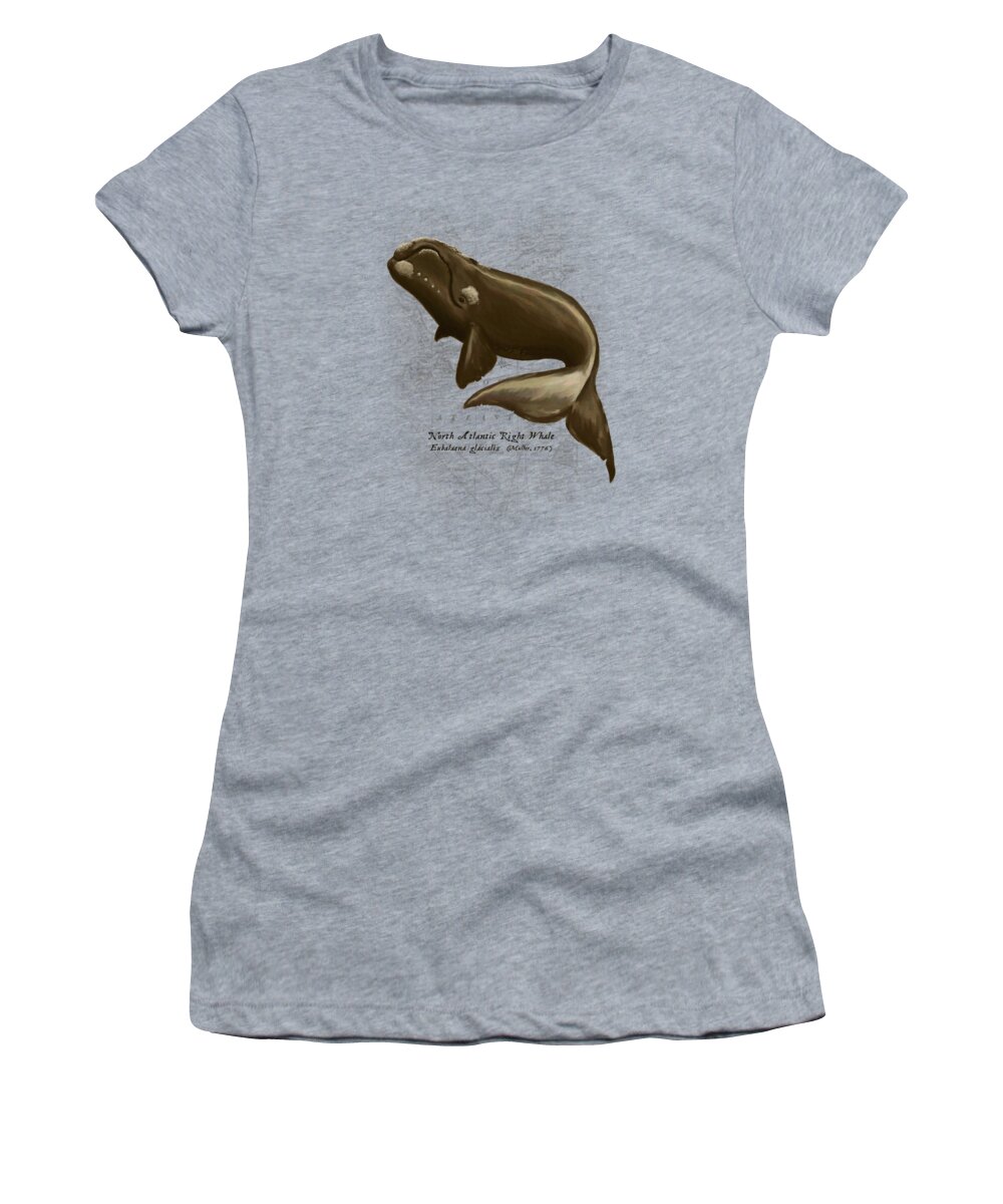 Whale Women's T-Shirt featuring the digital art North Atlantic Right Whale by Amber Marine