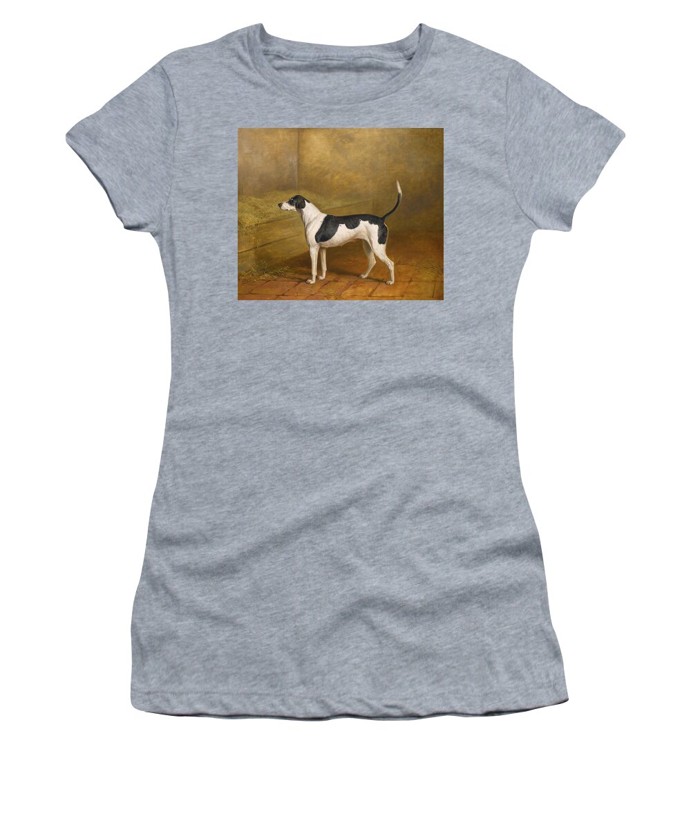 James Barenger Women's T-Shirt featuring the painting Nosegay a hound bitch in a kennel by James Barenger