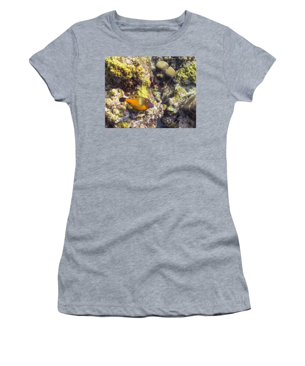 Ocean Women's T-Shirt featuring the photograph Not A Clown by Lynne Browne