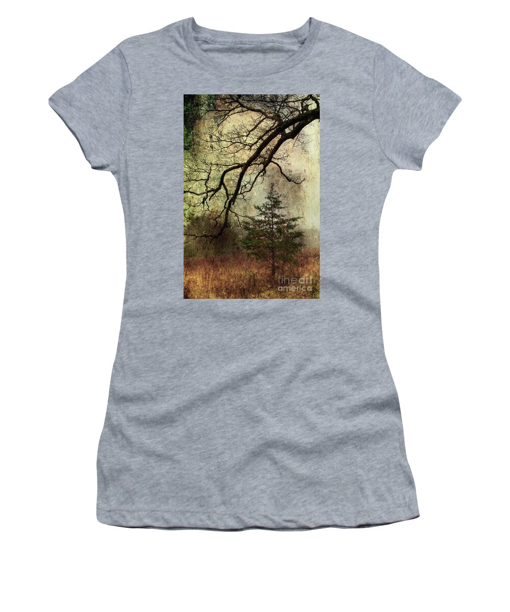 Pine Tree Women's T-Shirt featuring the photograph November Mood by Michael Eingle