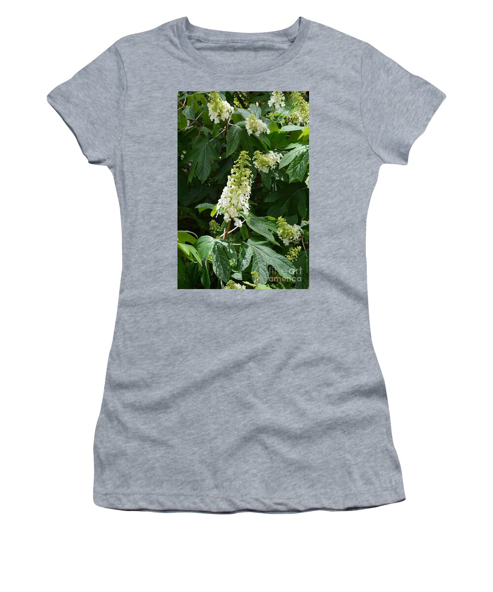 Oakleaf Hydrangea 16-01 Women's T-Shirt featuring the photograph Oakleaf Hydrangea 16-01 by Maria Urso