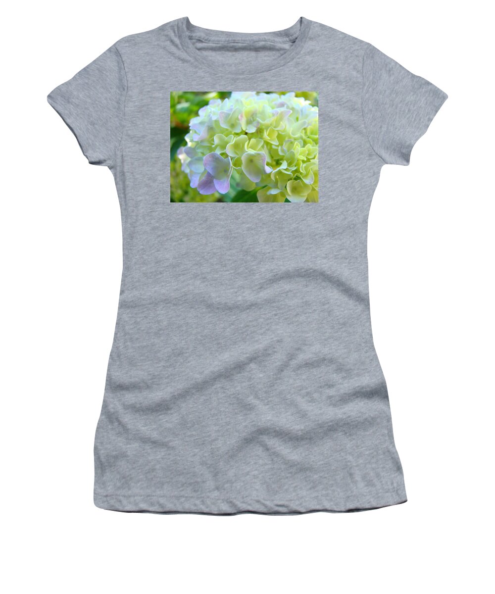 Hydrangea Women's T-Shirt featuring the photograph OFFICE ART Prints HYDRANGEA Flowers Botanicals Giclee Baslee Troutman by Patti Baslee