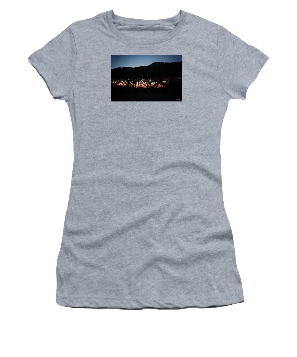 Fort Fisher Sunset Scene Women's T-Shirt featuring the digital art Oh Those Trees by Phil Mancuso