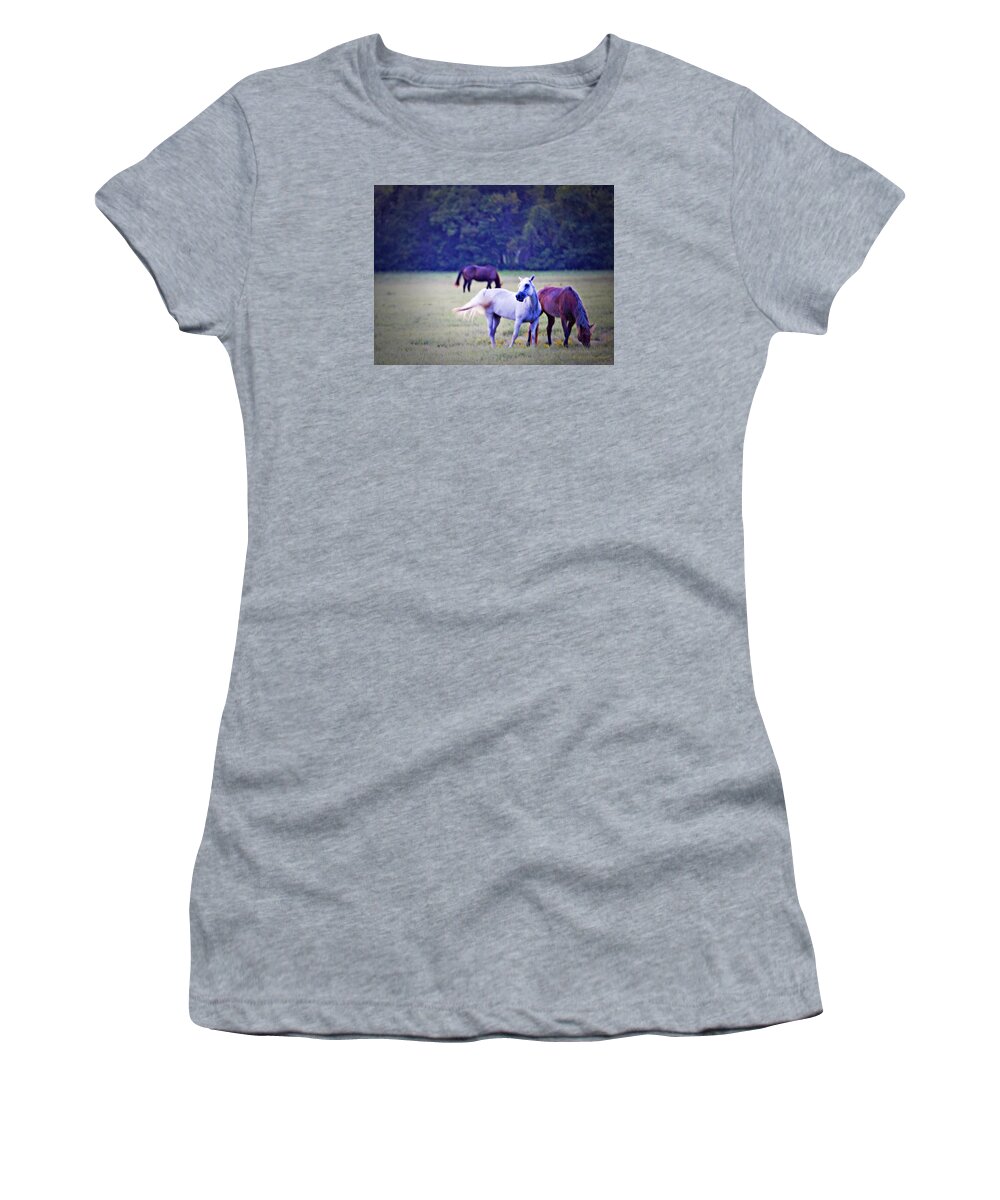 Ok Horse Ranch Women's T-Shirt featuring the photograph Ok Horse Ranch_1b by Walter Herrit