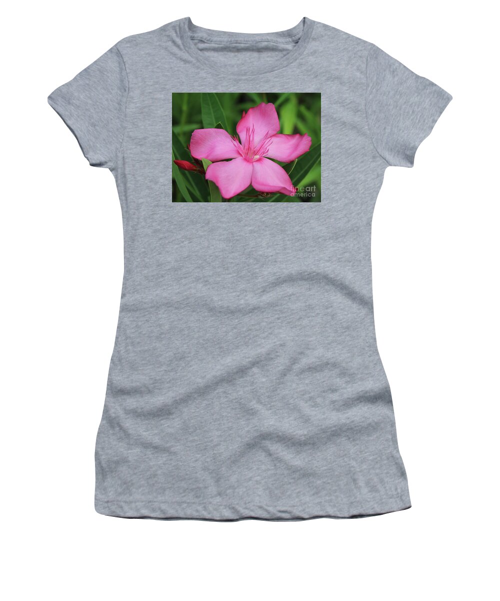Oleande Women's T-Shirt featuring the photograph Oleander Professor Parlatore 2 by Wilhelm Hufnagl
