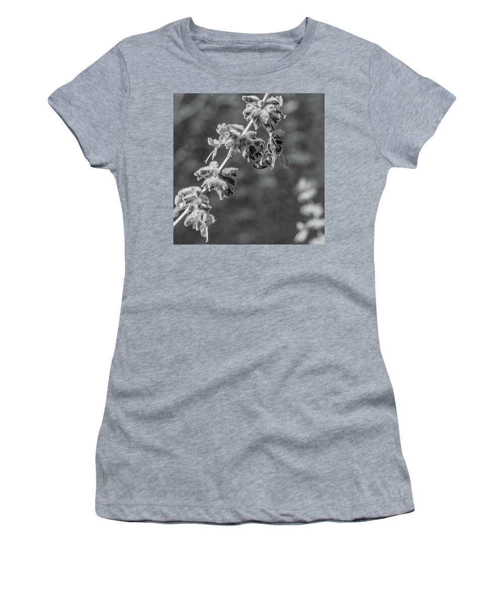 Steve Harrington Women's T-Shirt featuring the photograph On A Lavender Evening 2 bw by Steve Harrington