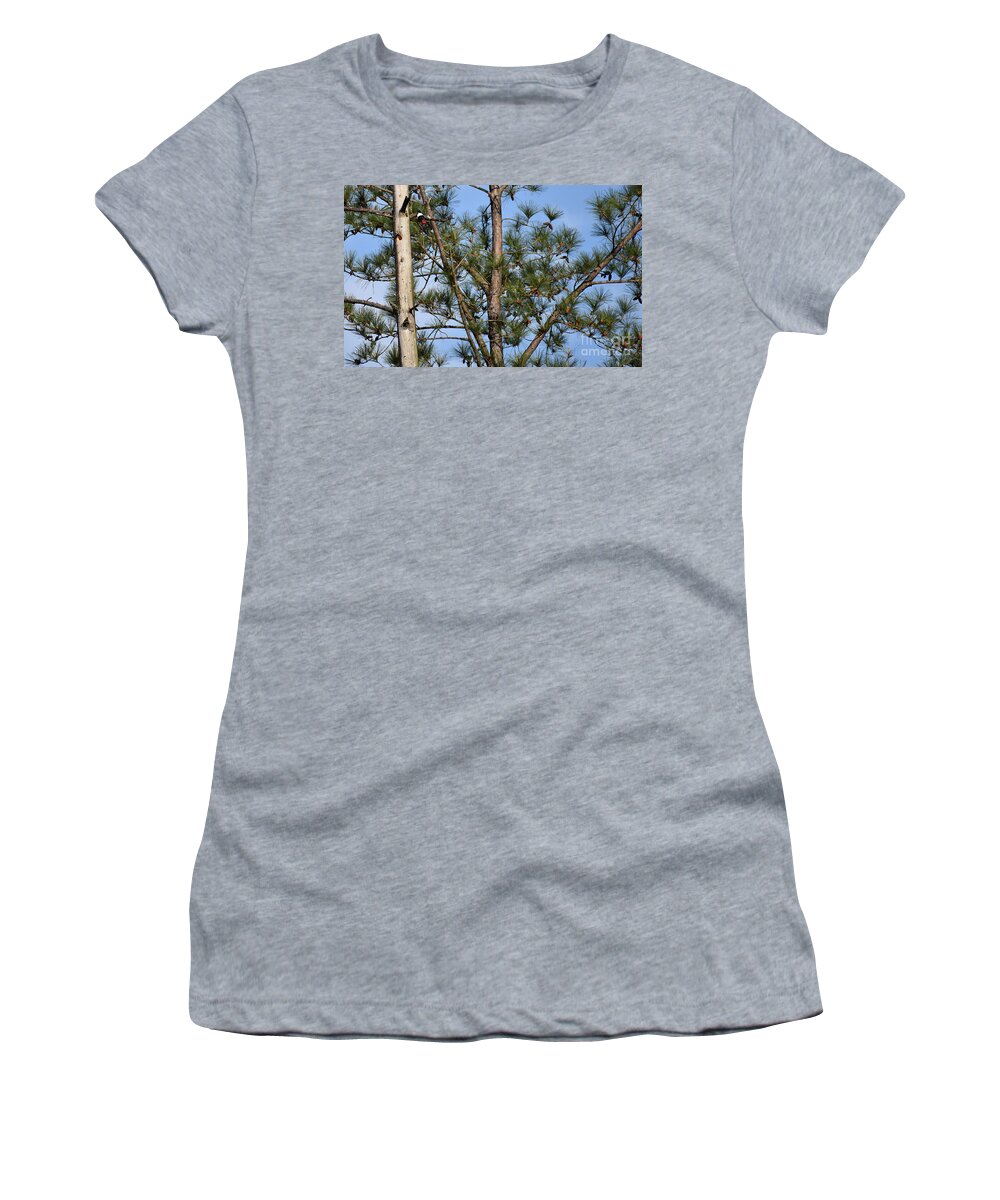 Nature Women's T-Shirt featuring the photograph On Guard by Skip Willits