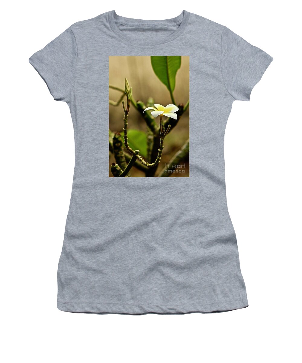 Plumeria Women's T-Shirt featuring the photograph One Blossom and a bud by Craig Wood
