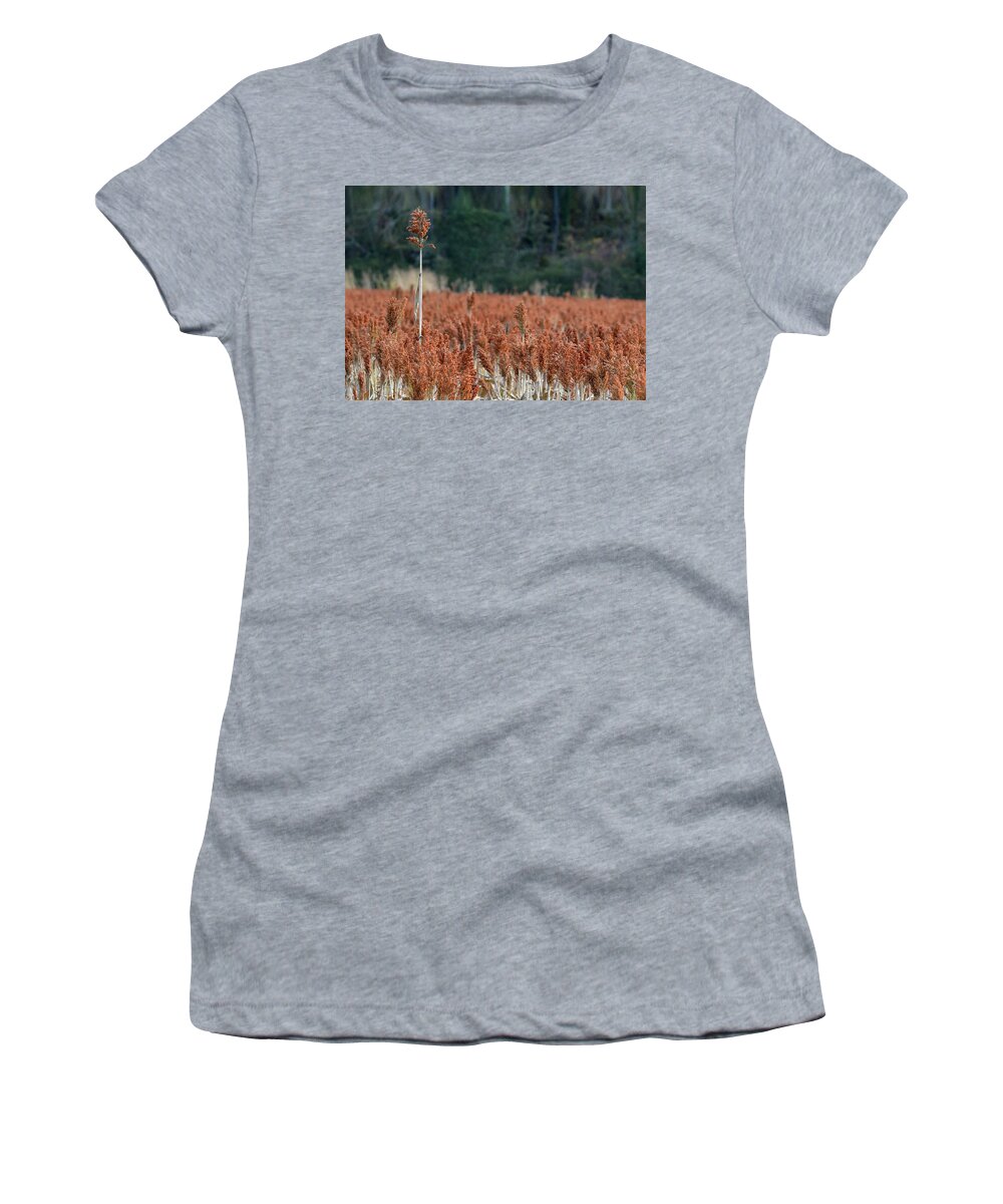 Sorghum Women's T-Shirt featuring the photograph One in a Million by Carla Parris