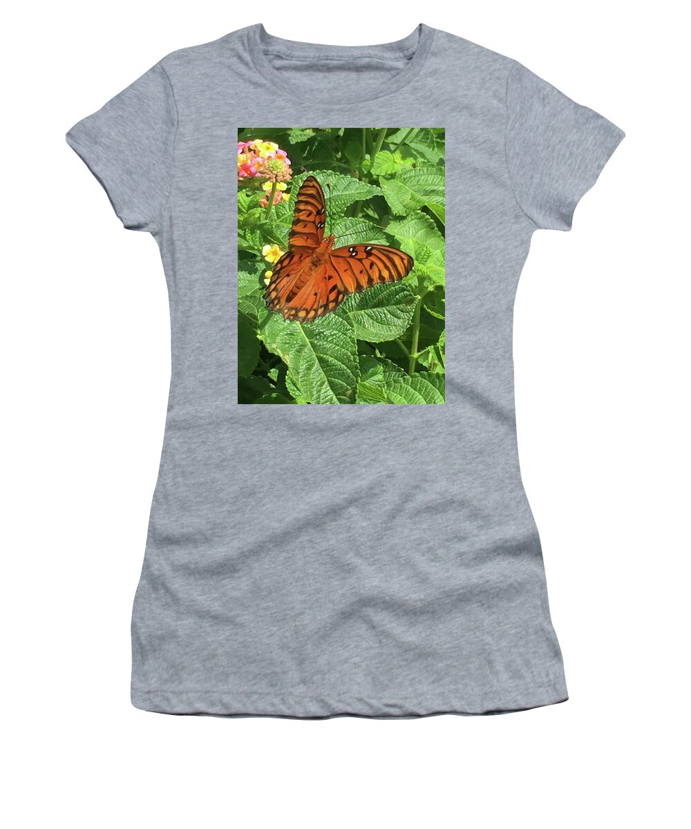 John 3:3 Jesus Replied Women's T-Shirt featuring the photograph Orange Butterfly  by Matthew Seufer