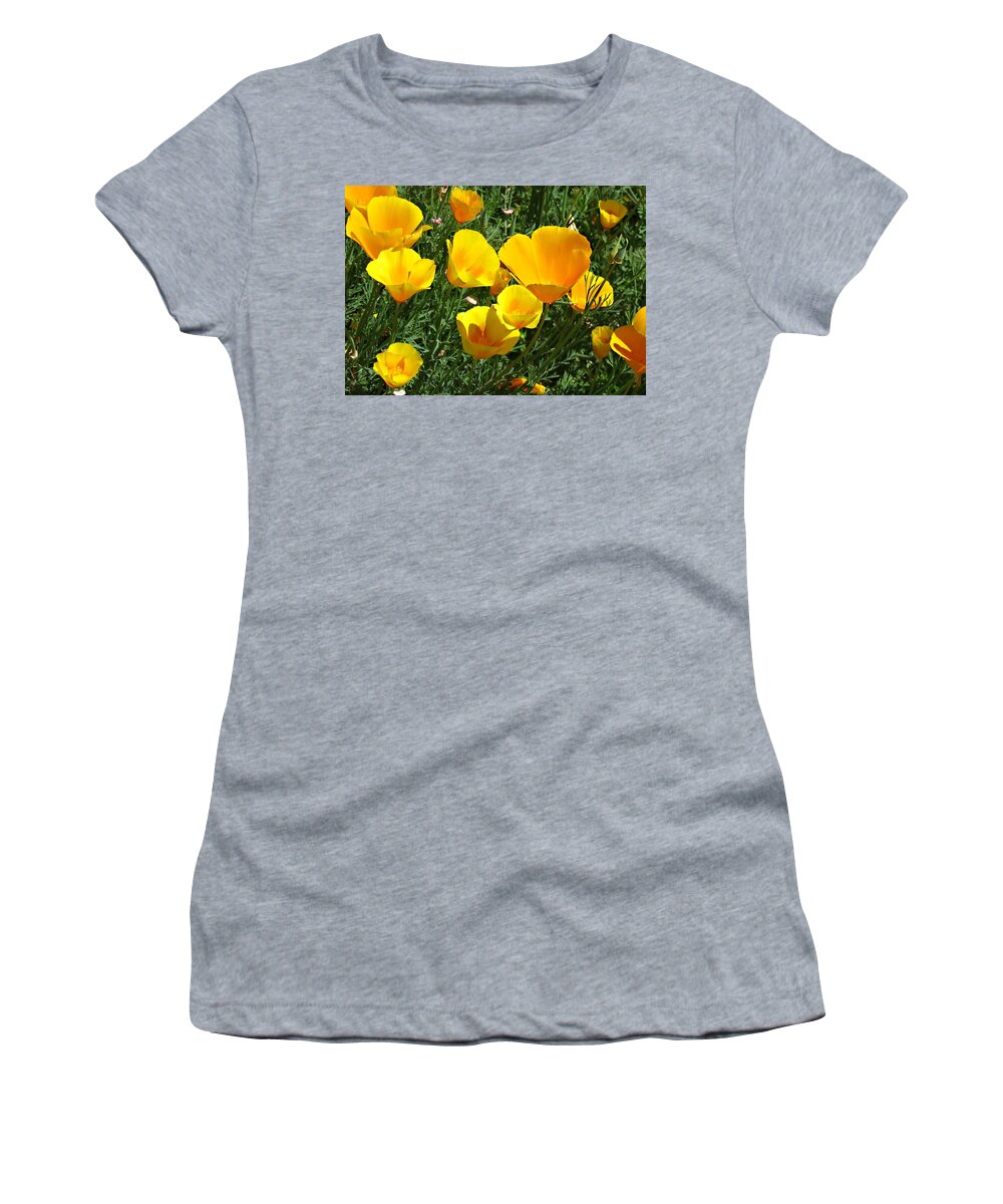 Orange Women's T-Shirt featuring the photograph Orange California Poppies by KATIE Vigil