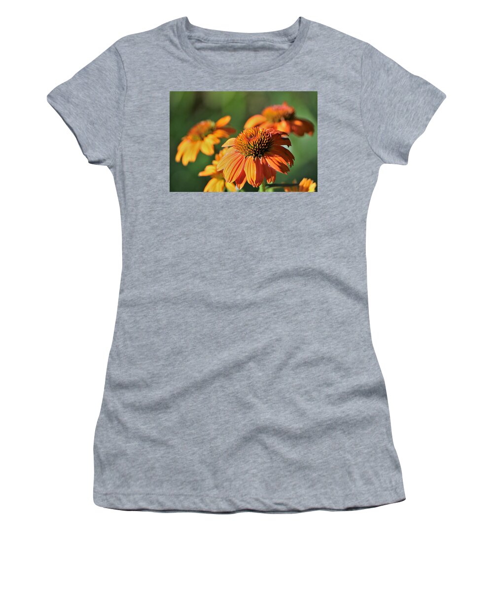 Nature Women's T-Shirt featuring the photograph Orange Cone Flowers in Morning Light by Sheila Brown