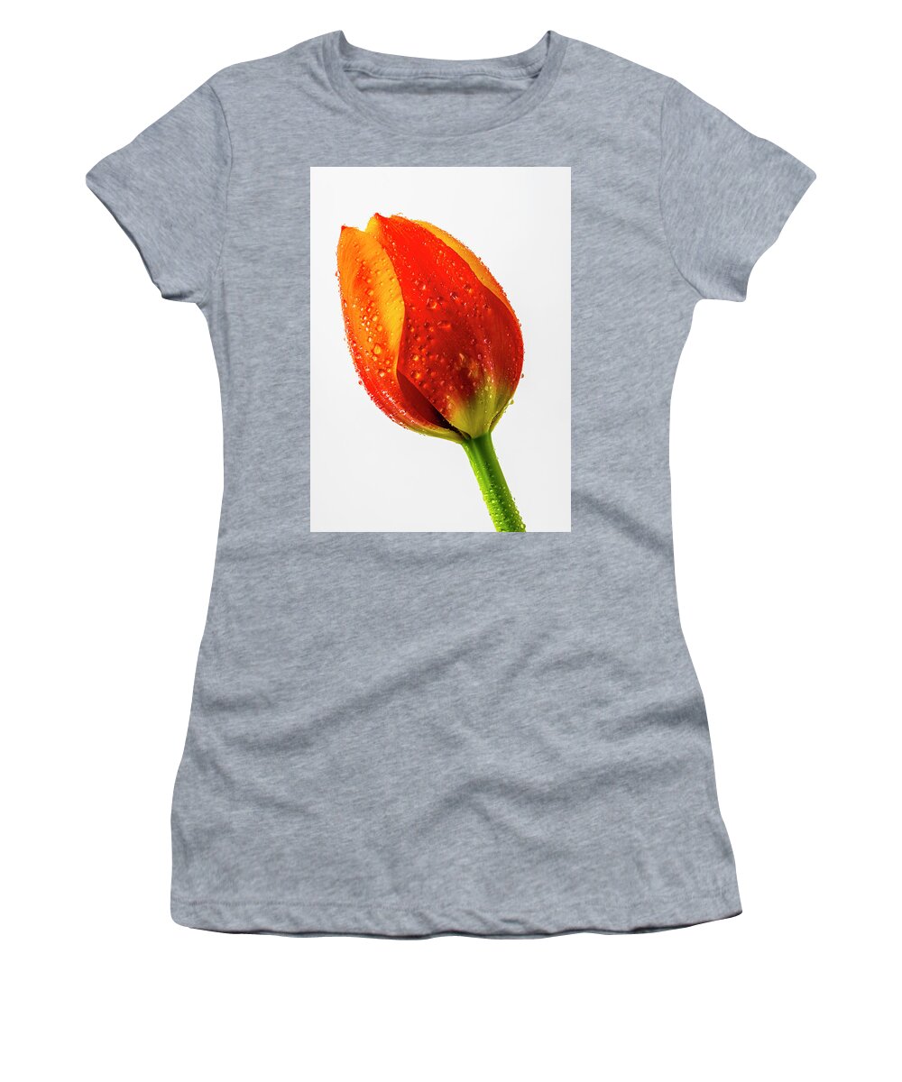 Tulip Women's T-Shirt featuring the photograph Orange dewy Tulip by Garry Gay