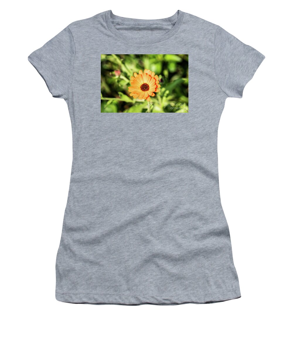 Orange Women's T-Shirt featuring the photograph Orange Flower by Kevin Gladwell