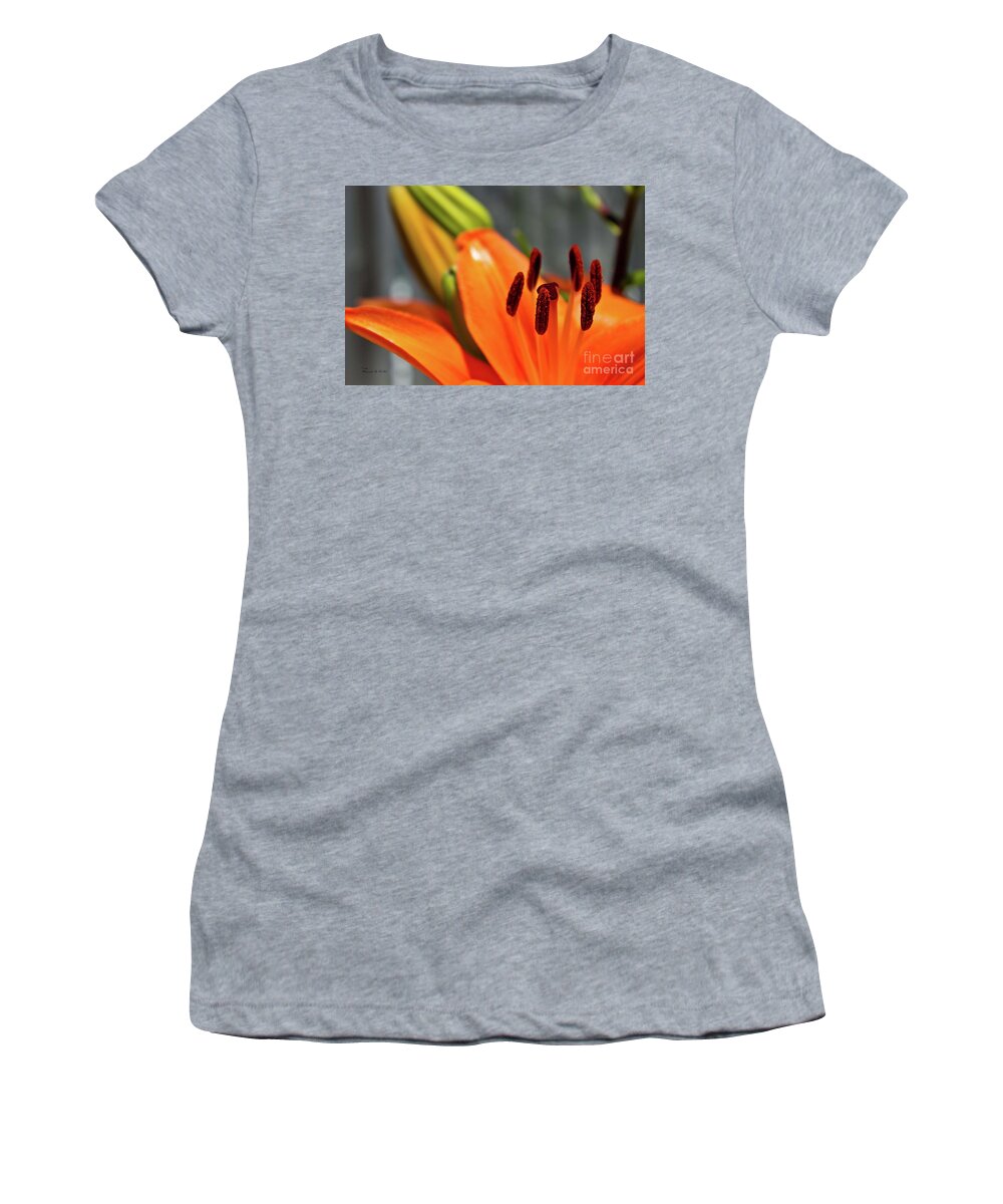 Orange Women's T-Shirt featuring the photograph Orange Lily Close Up by Ms Judi