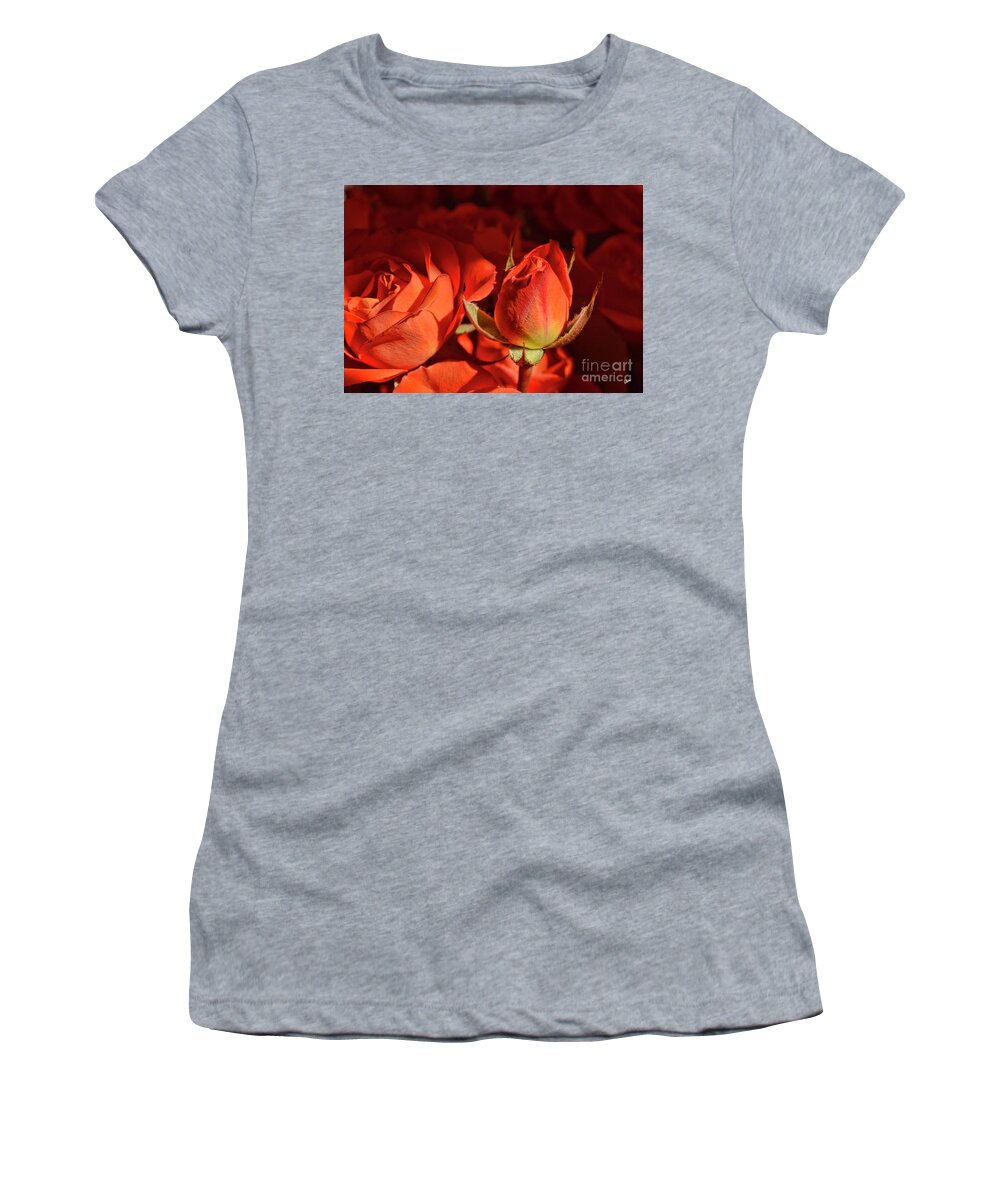 Rose Women's T-Shirt featuring the photograph Orange Rose Bud by Alana Ranney