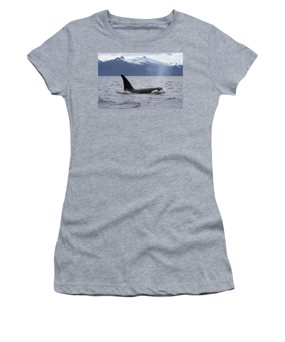 00196735 Women's T-Shirt featuring the photograph Orca in Inside Passage by Konrad Wothe