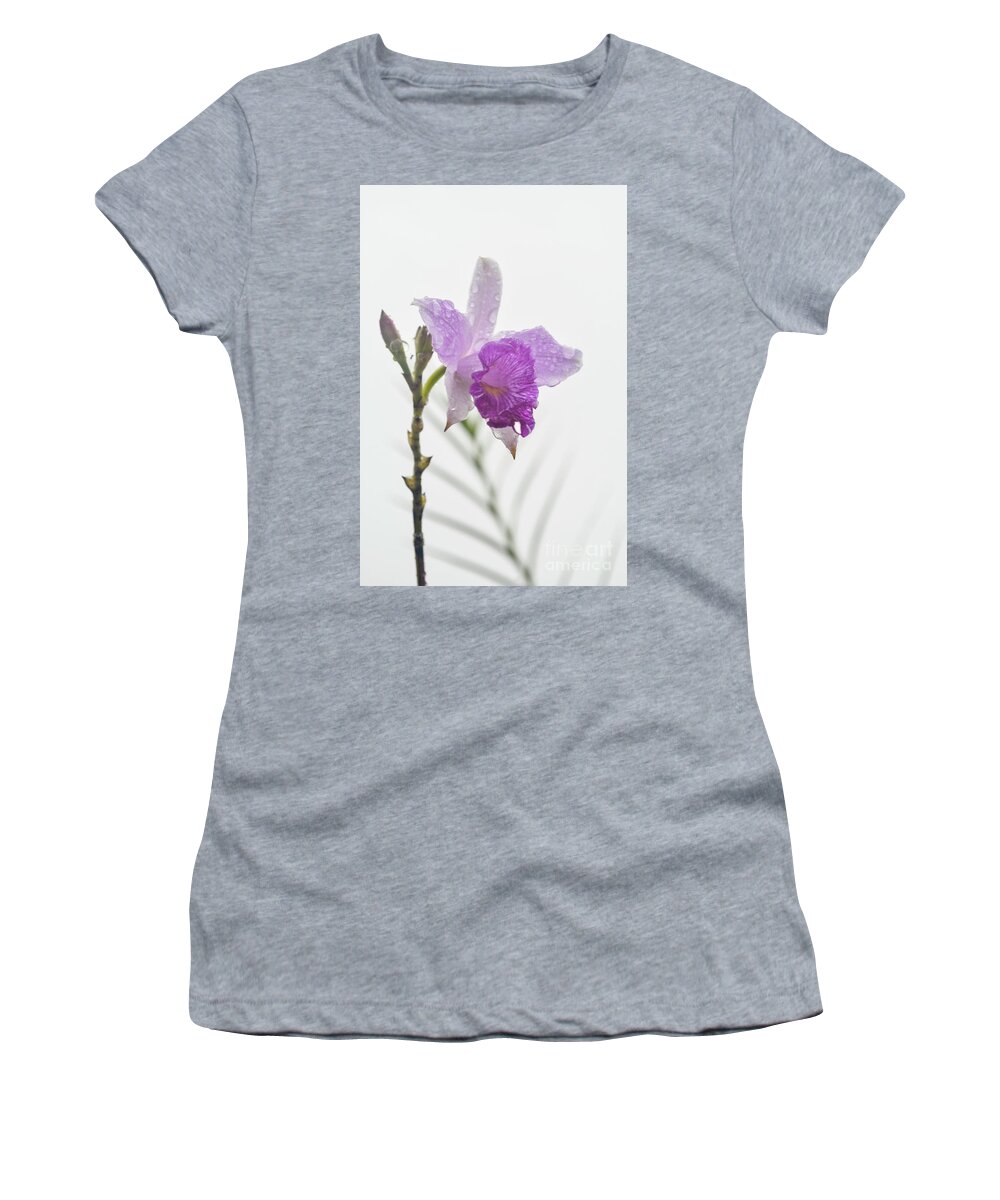 Flower Women's T-Shirt featuring the photograph Orchid in the clouds. Costa Rica. by Ksenia VanderHoff