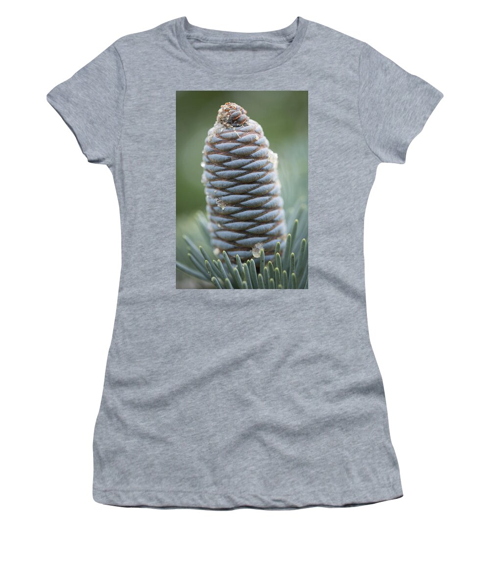 Ornament Of Nature Women's T-Shirt featuring the photograph Ornament of Nature by Dale Kincaid