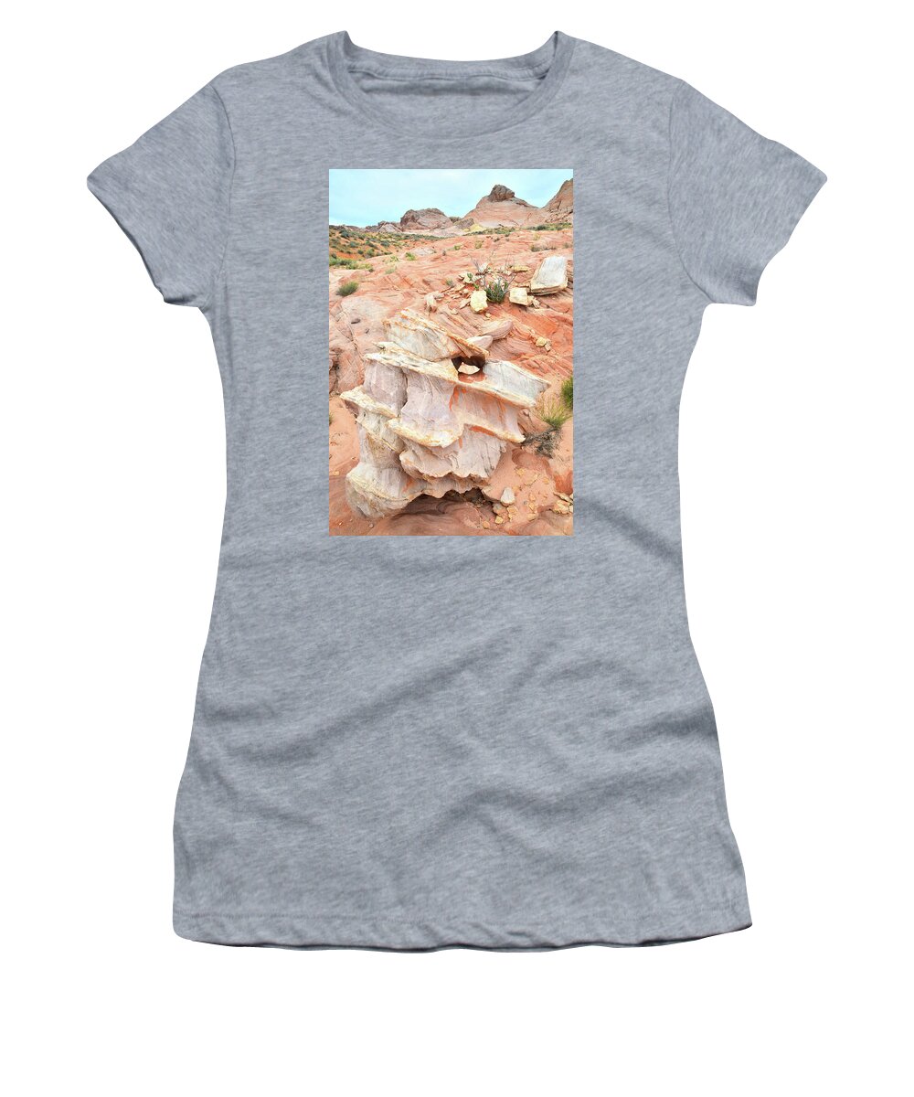 Valley Of Fire State Park Women's T-Shirt featuring the photograph Ornate Rock in Wash 4 of Valley of Fire by Ray Mathis