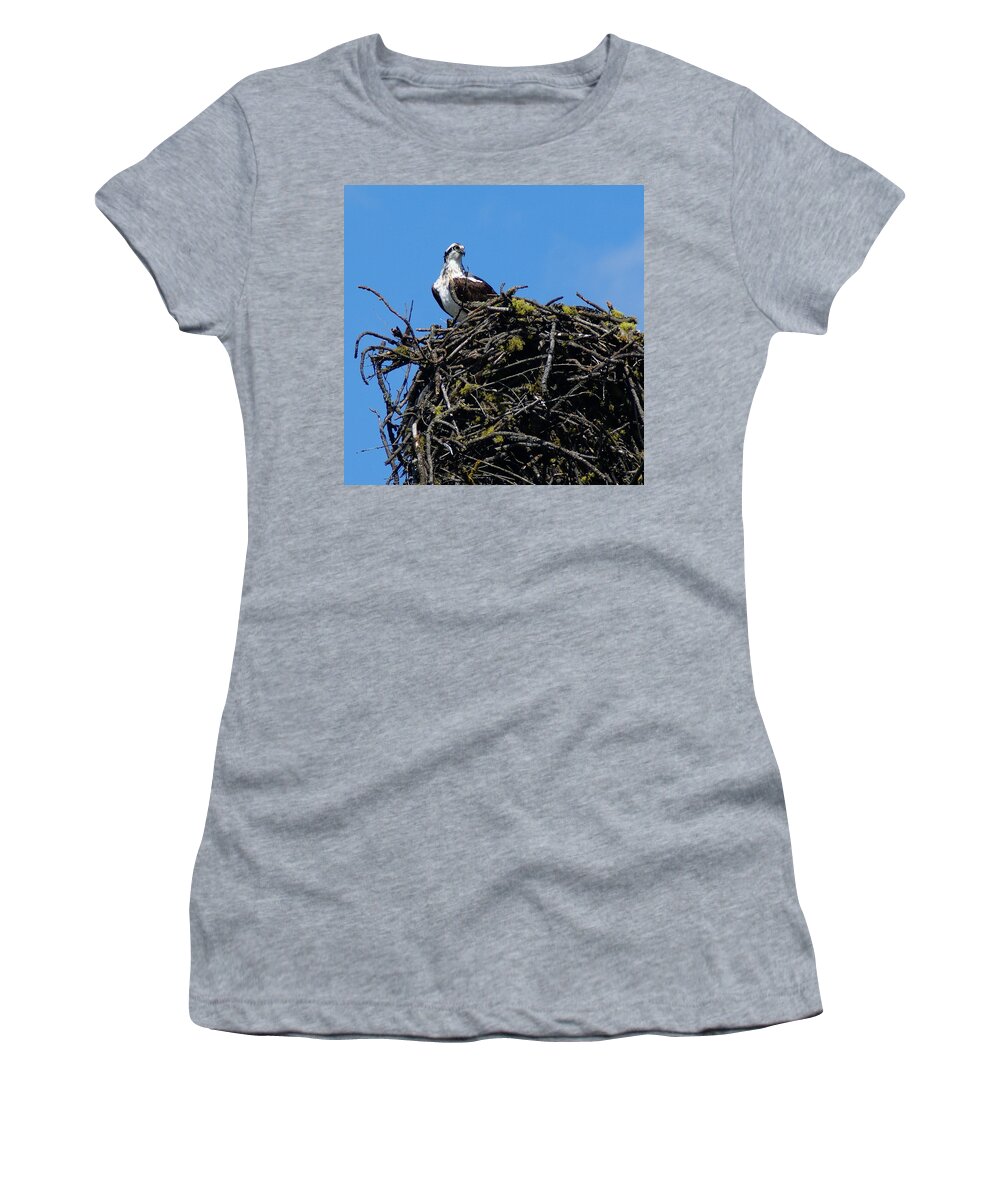 Birds Women's T-Shirt featuring the photograph Osprey in Nest by Ben Upham III