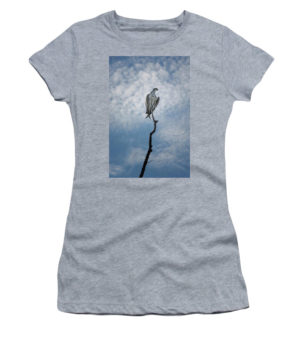Osprey Women's T-Shirt featuring the photograph Osprey on Top of the World by Mitch Spence