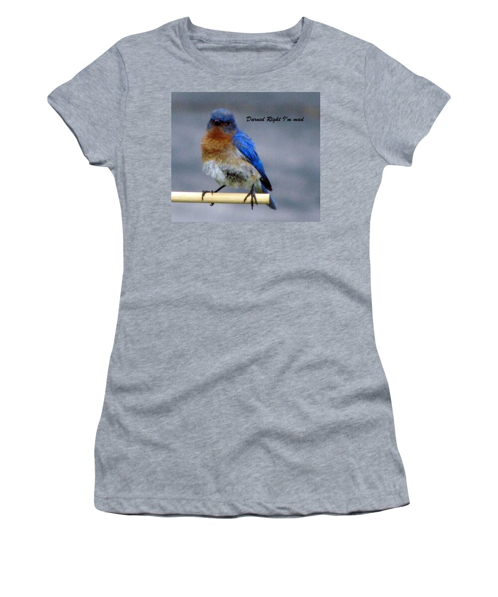 Mad Blue Bird Women's T-Shirt featuring the photograph Our Own Mad Blue Bird by Betty Pieper