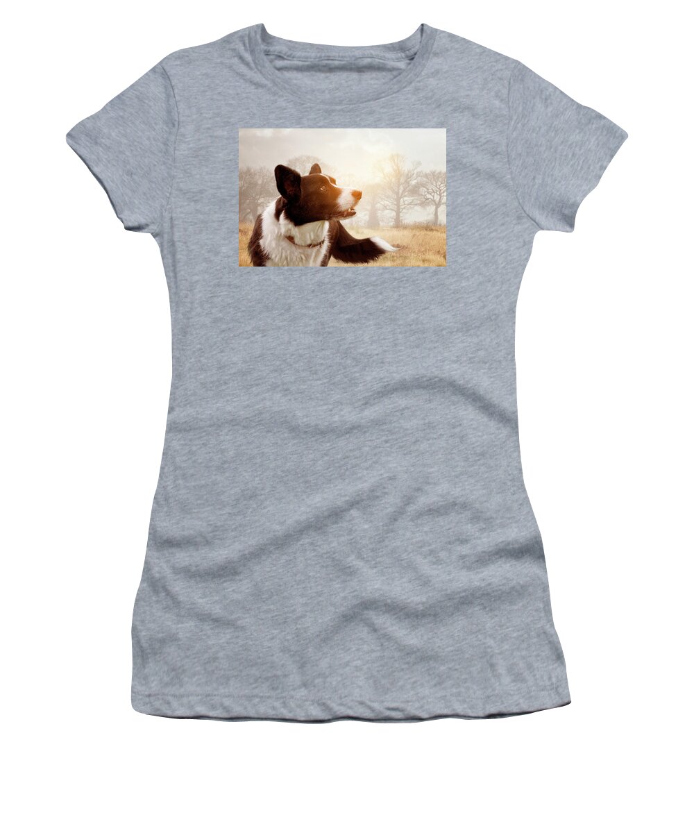 Cute Women's T-Shirt featuring the photograph Out And About by Ethiriel Photography