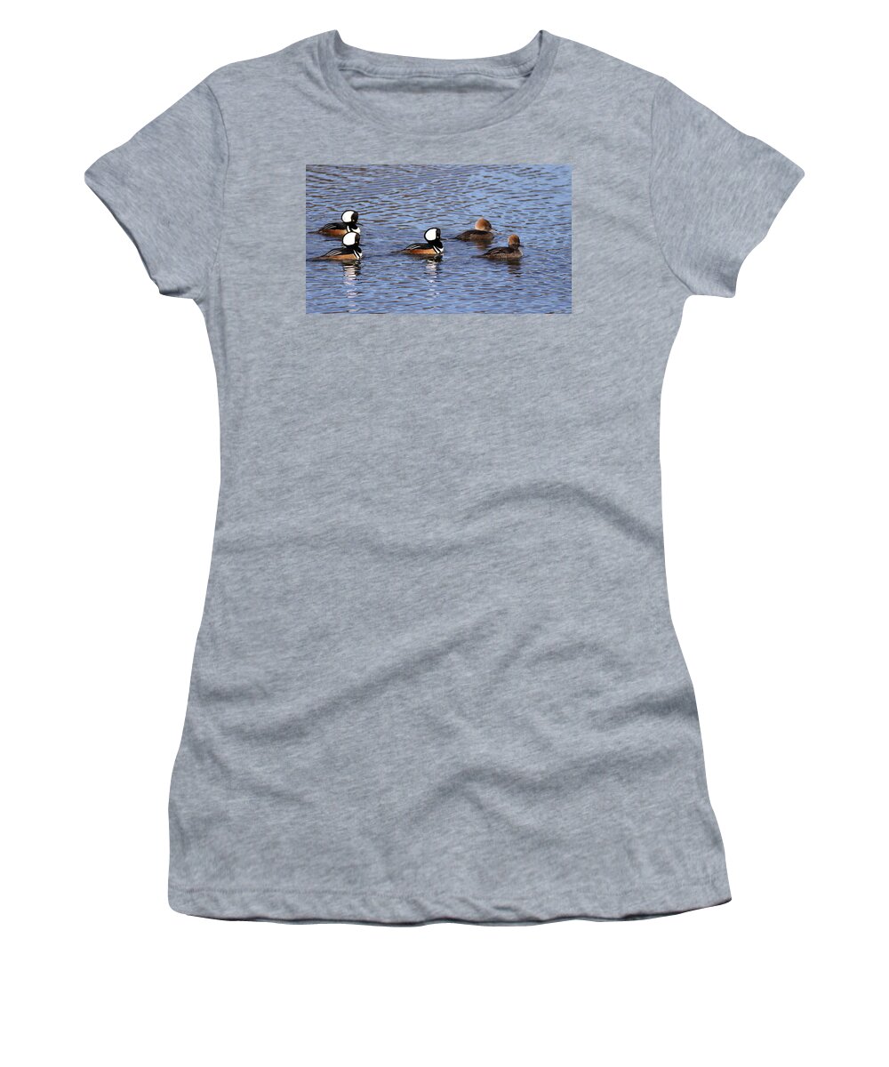 Hooded Merganser Women's T-Shirt featuring the photograph Out for a Stroll by Travis Truelove