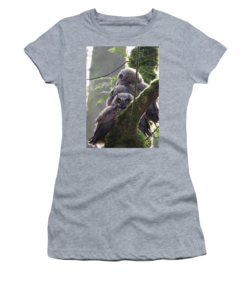 Great Horned Owlets Women's T-Shirt featuring the photograph Owl Morning by I'ina Van Lawick