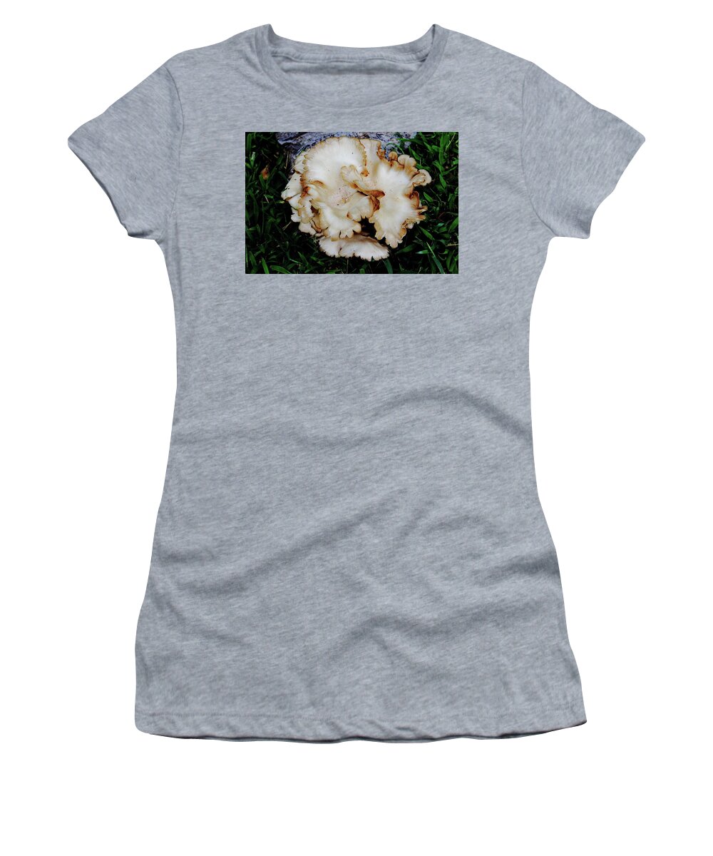  Oyster Mushroom Women's T-Shirt featuring the photograph Oyster Mushroom by Allen Nice-Webb