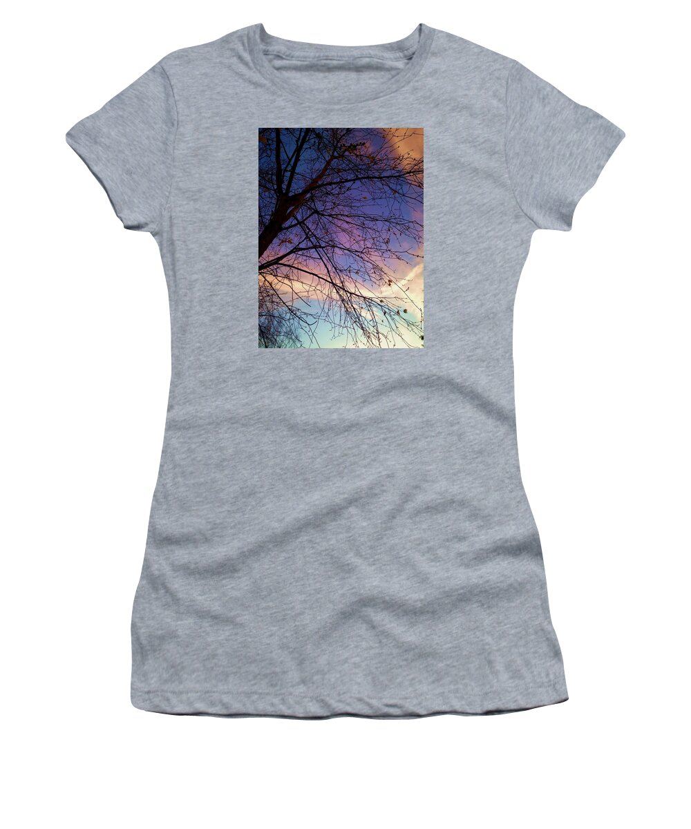 Sun Women's T-Shirt featuring the photograph Paintbrush IV by Chris Dunn