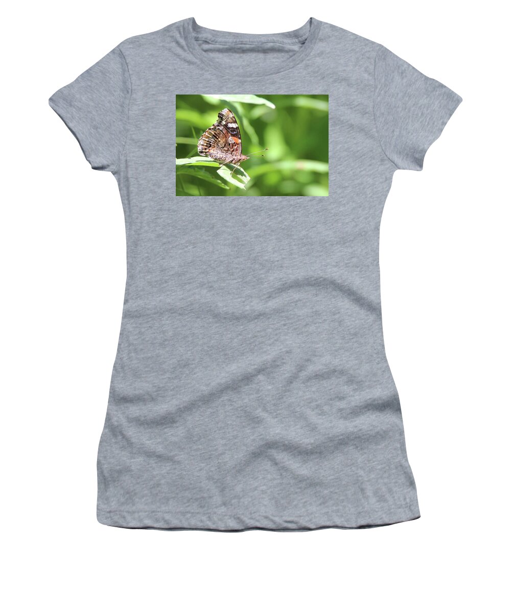 Painted Lady Women's T-Shirt featuring the photograph Painted Lady Stony Brook New York by Bob Savage